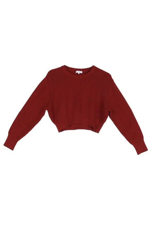 Knit Crop Top And Skirt Set