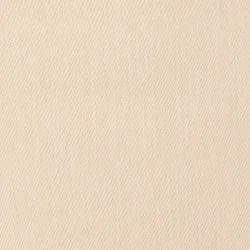 NCE CARGO - WIDE LEG JEANS | CAPPUCCINO